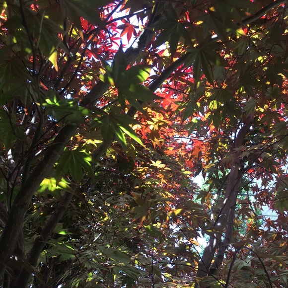 โฅโบMeet Your Posher!โโ - Picture 15 of 16